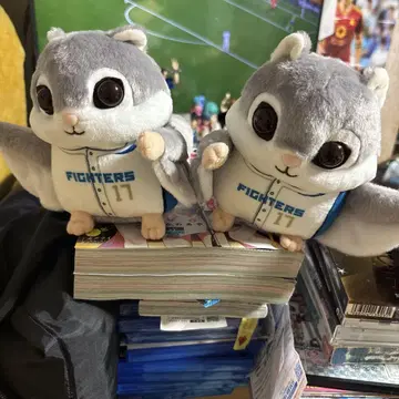 닛폰햄 복권 이토 히로미 모몽가