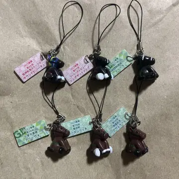 아이돌 호스 미니 컬렉션 두라멘테 산 자마