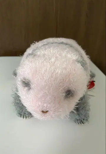 진짜 크기 팬더 새끼 284g 샹샹