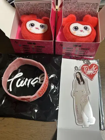 TWICE THIS IS FOR 채영 굿즈 세트