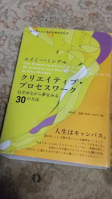 크리에이티브 프로세스 워크 깨어나면서 꿈을 꾸는 30가지 방법