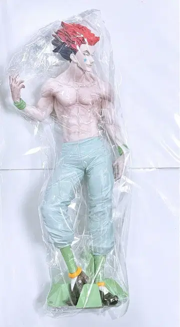 HUNTER x HUNTER 히소카 Grandista 헌터헌터
