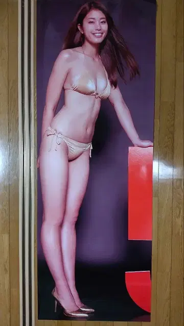 이나무라 아미 등신대 포스터