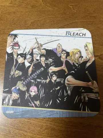 BLEACH 아트 코스터 호정 13대