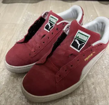 PUMA Red 스웨이드 신발