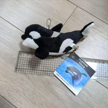 [선착순] 택 포함 새상품 나고야항 수족관 orca 범고래 봉제 인형