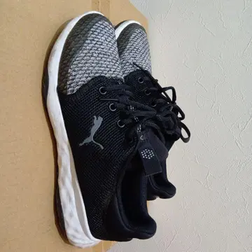 Puma Soft Foam 골프화 남성용