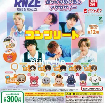 RIIZE  메지루시 액세서리 전12종 컴플리트 컴프