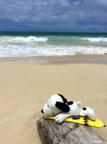 SNOOPY's SURF SHOP 키링 HSNP-22008