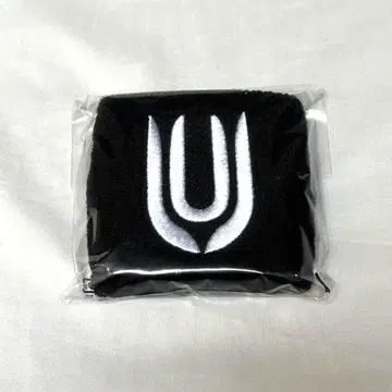 UNISON SQUARE GARDEN 리스트 밴드