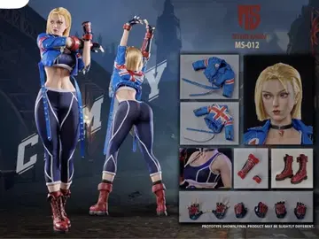 미개봉 1/6 starman MS-012 스트리트 파이터 캐미