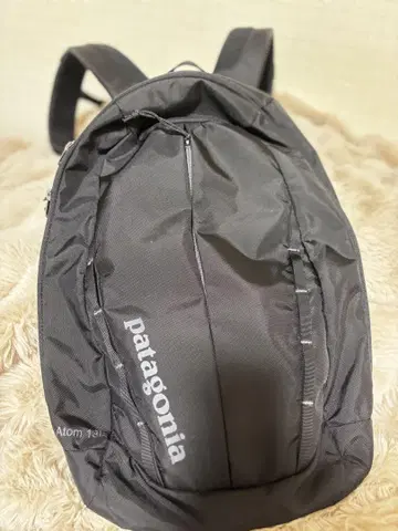 patagonia Atom 18 블랙 백팩