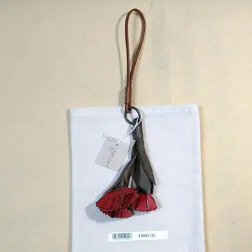 미사용 겐텐 에버 참 카네이션