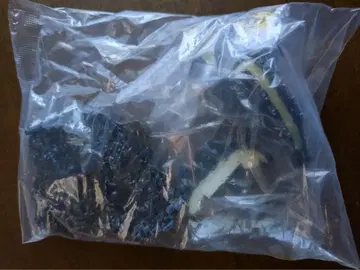 고질라 전집 (미조립) 2종 초대 & 모스라