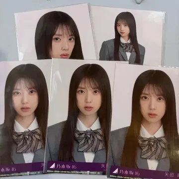 야다 모에카 네이블 오렌지