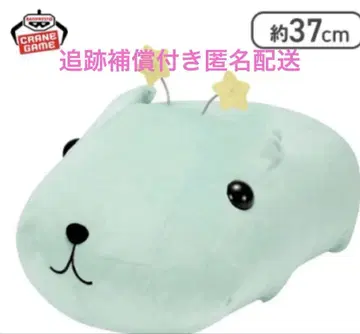 카피바라씨 엄청 폭신폭신 봉제 인형 20주년 트윙클씨