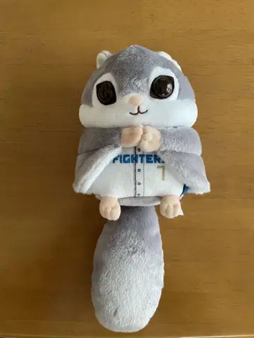 파이터즈 모몽가 4등
