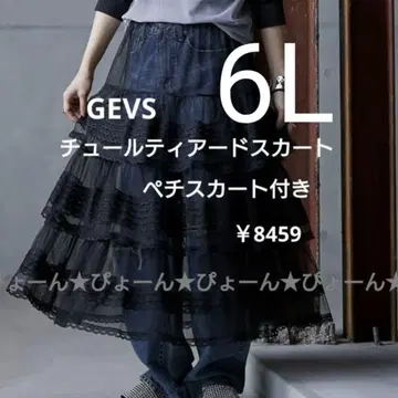 빅 사이즈 6L GEVS 1점 한정