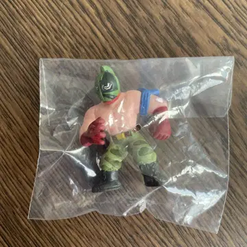 근육 케시 25 근육 솔저