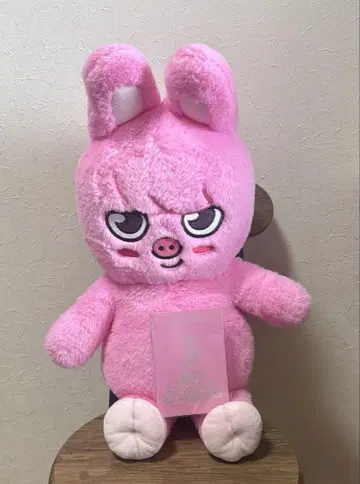 SKZOO 테디베어 봉제 인형 창빈