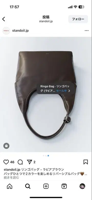 Stand oil Ringo Bag 사과 백