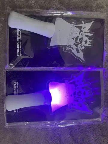 시미즈 쇼타 응원봉 2025