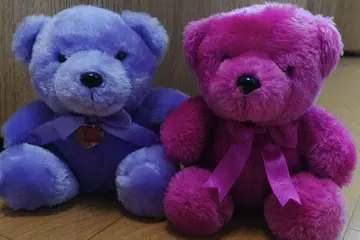보라색과 핑크 곰 봉제 인형 2개 세트