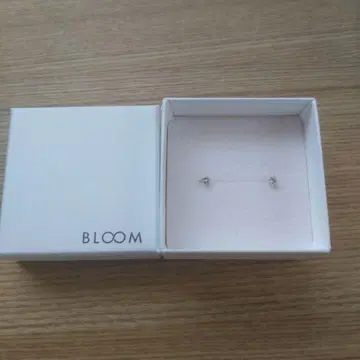 BLOOM 플라티나 다이아 귀걸이