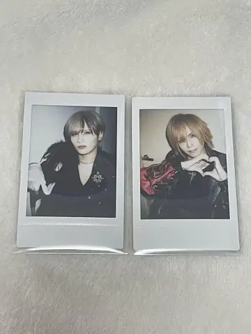 Royz 폴라로이드