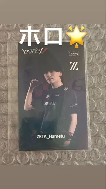 ZETA 제5인격 Hametu