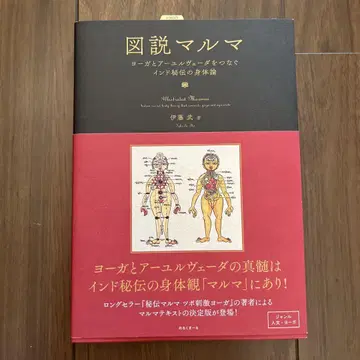 도설 마르마 = Illustrated Marman : 요가와 아유르베 -