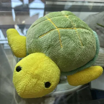 푸티마린 카메 봉제 인형