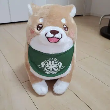 충견 모치시바 우루루 BIG 봉제 인형(그린)