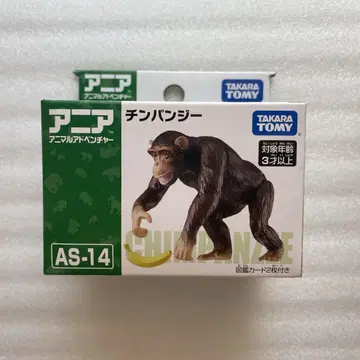 아니아 침팬지 1개