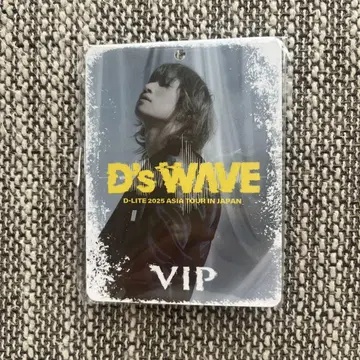 D-LITE 2025년 아시아 투어 VIP 패스