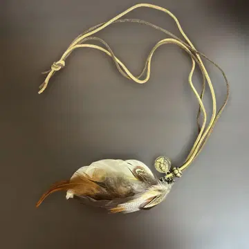 고아 페더 목걸이
