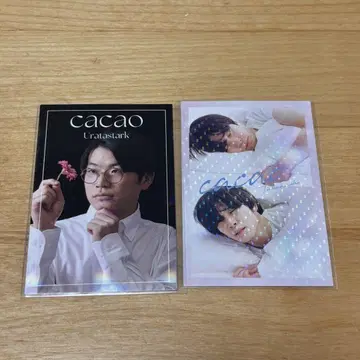 요시모토 코레카 카카오