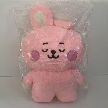 BTS 타톤네톤 L 사이즈 봉제 인형 쿠키