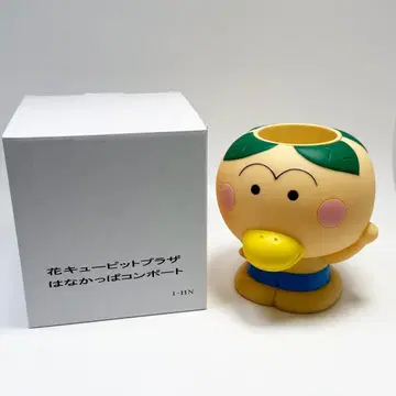 초레어 꽃 큐핏플라자 꽃깟파 콤포트
