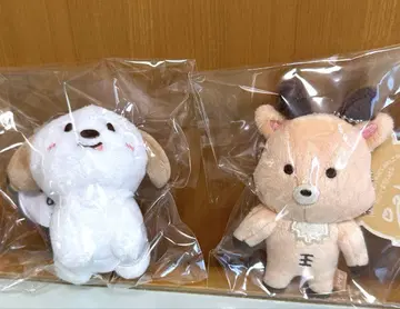 RIIZE 앤톤 성찬 몽리영 우라밤 MD 인형