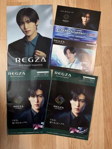 메구로 렌 REGZA