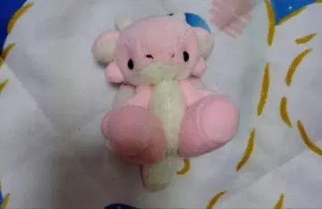 봉제 인형 드래곤 작가님 제작
