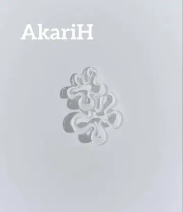 AkariH 아카리 클리어 플라워 귀걸이