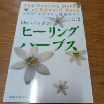 Dr. 배치의 힐링 허브
