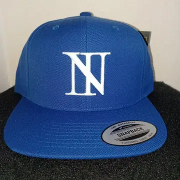 THE BONEZ N-logo flat visor cap 캡/모자