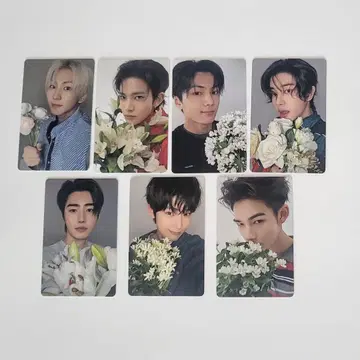 ENHYPEN  YOI weverse 혜택 트레이딩 카드 컴플리트