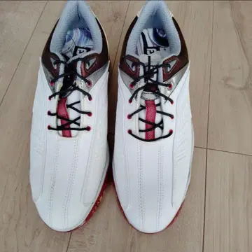 FootJoy 골프화 24.5