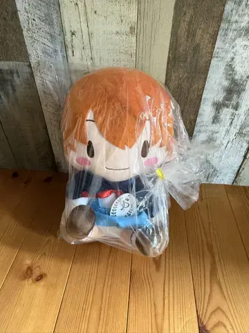 에반게리온 후와푸치 Preciality L 봉제 인형 아스카