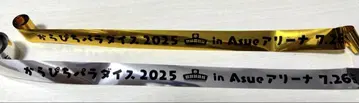 컬러풀 피치에서 피치 파라다이스 2025 라이브