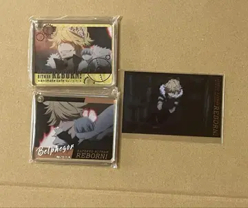 REBORN! 애니 카페 코로타 베르페고르 2개 세트